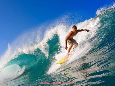 山猫直播官网-看台风采！世俱杯球迷现场应援服饰设计趋势分析