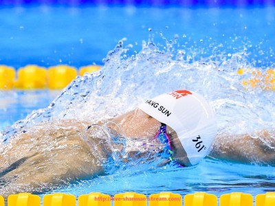 山猫直播官网-世俱杯各参赛球队比赛纪律情况及其对赛事影响的深度解读