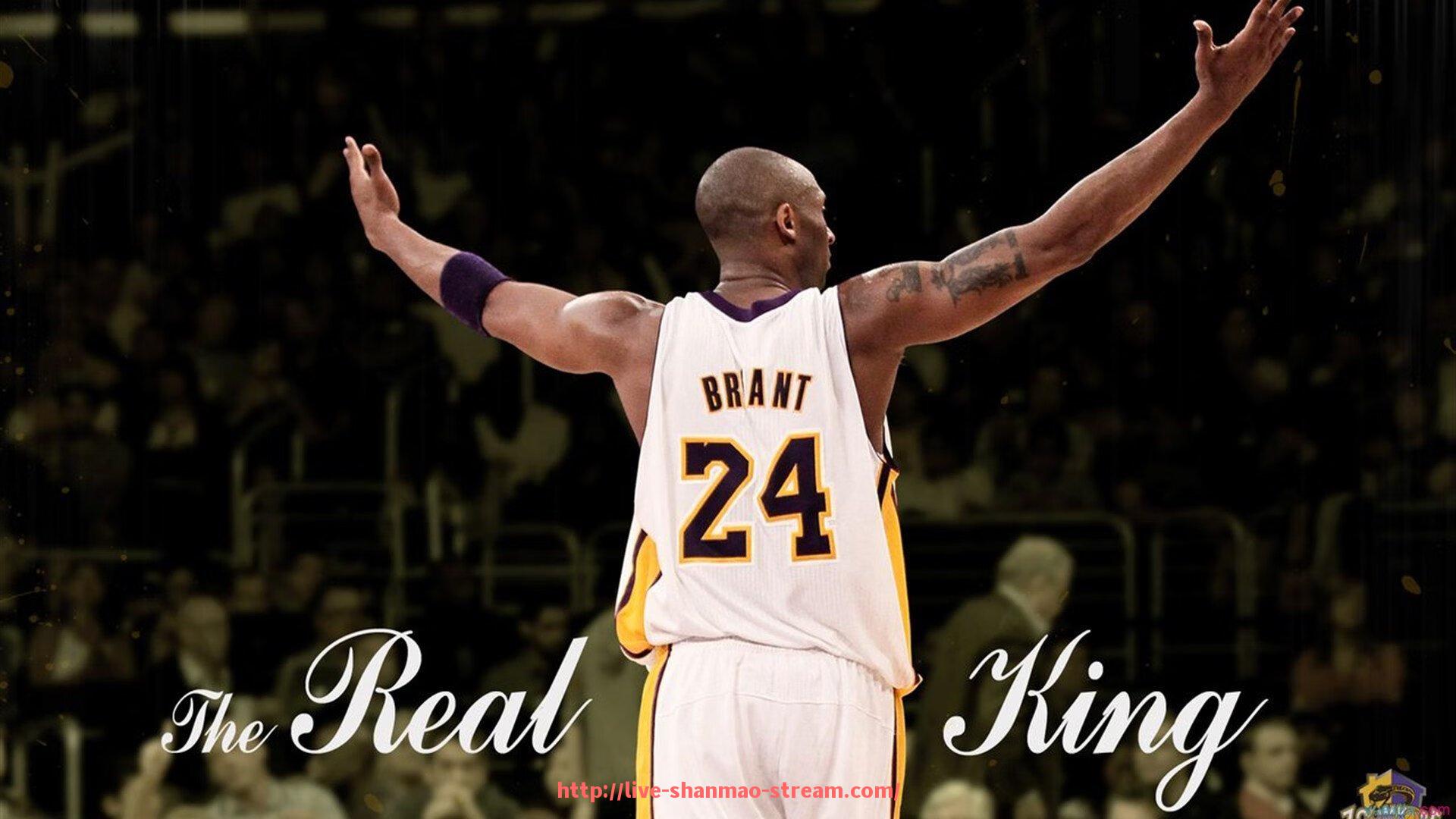 山猫直播官网-世俱杯裁判关键判罚与争议性决策数据统计