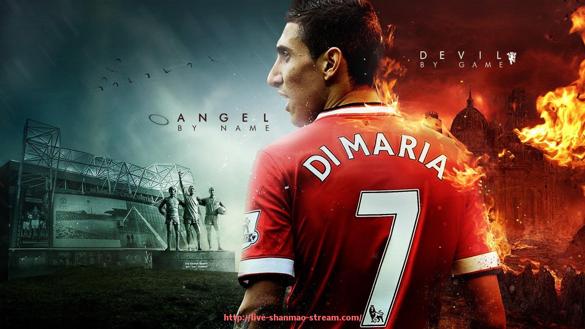 山猫直播官网-欧冠排球比赛直播渠道介绍：欧洲女子排坛巅峰赛事播出