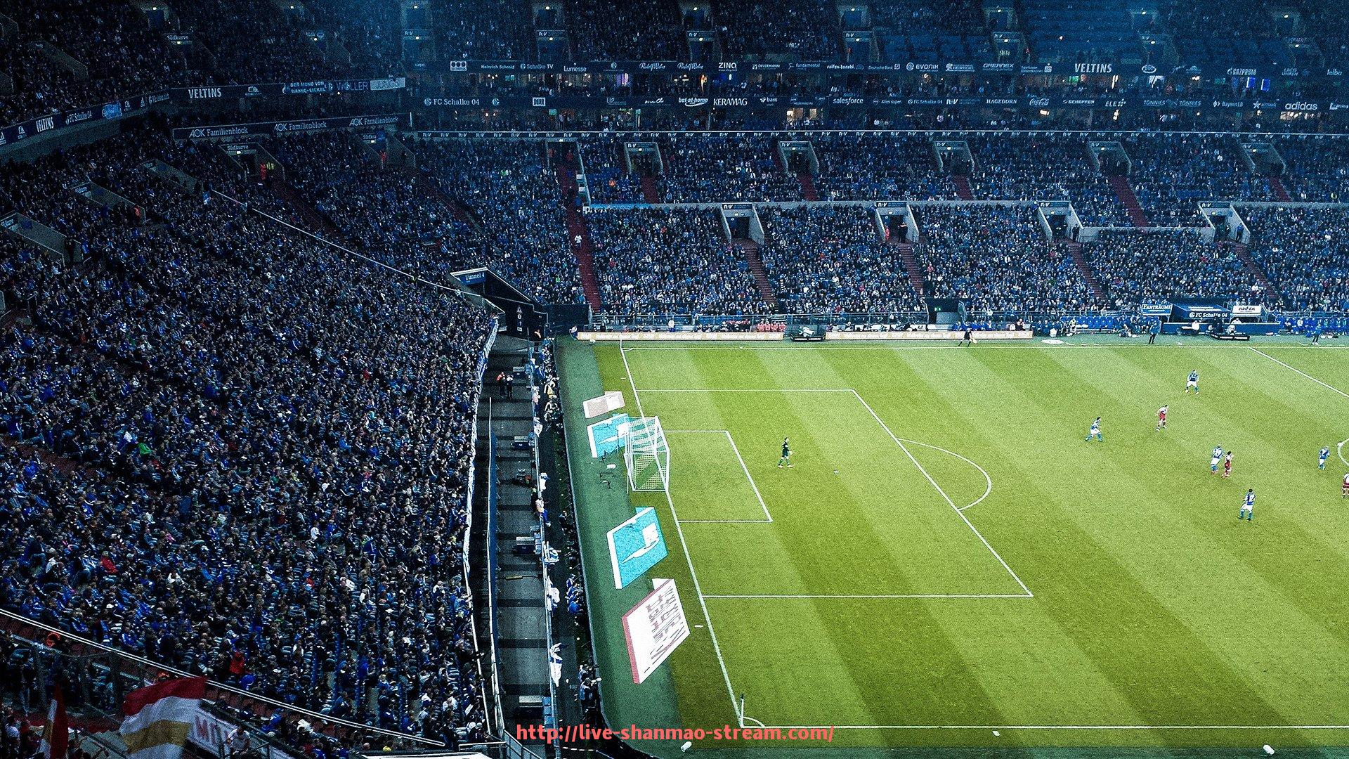 山猫直播官网-意甲联赛参赛球队类型及分类说明