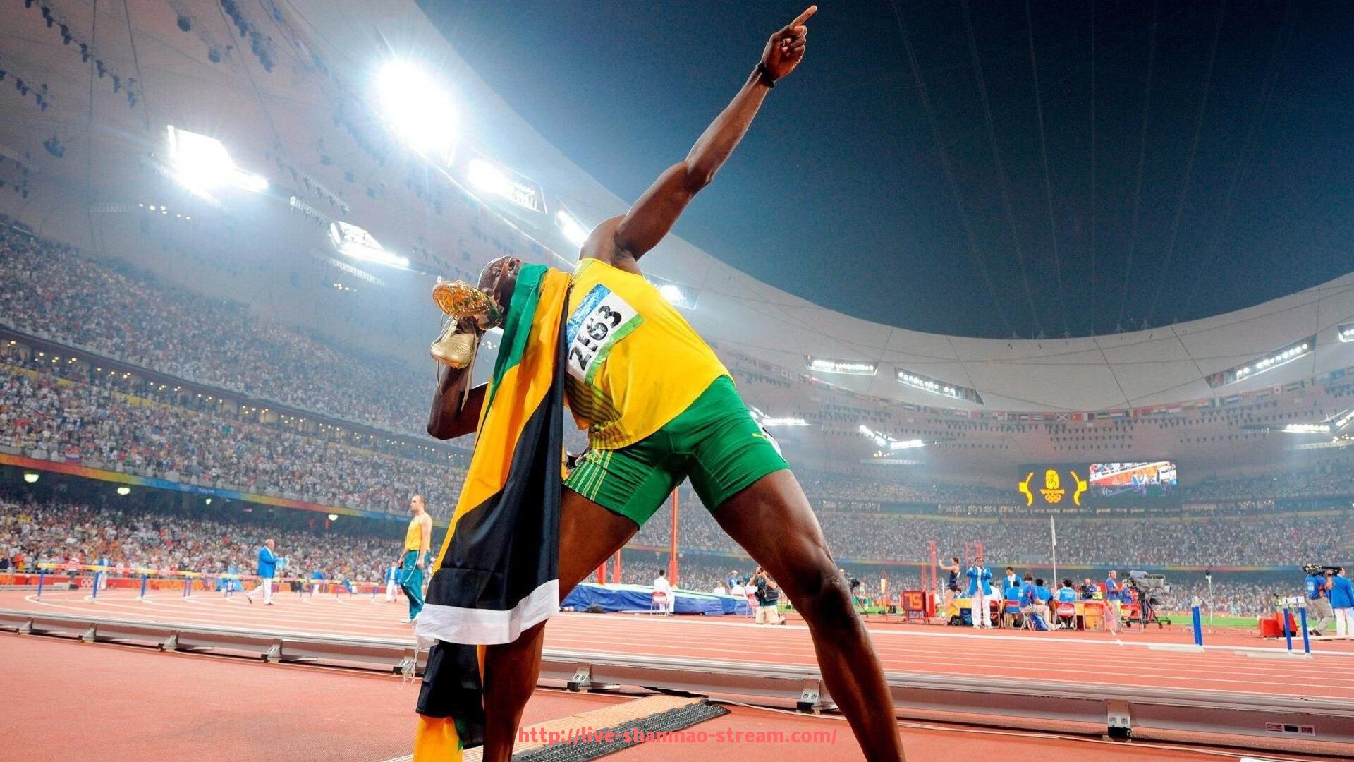 山猫直播官网-世俱杯场边广告数据对比与投放效果评估报告