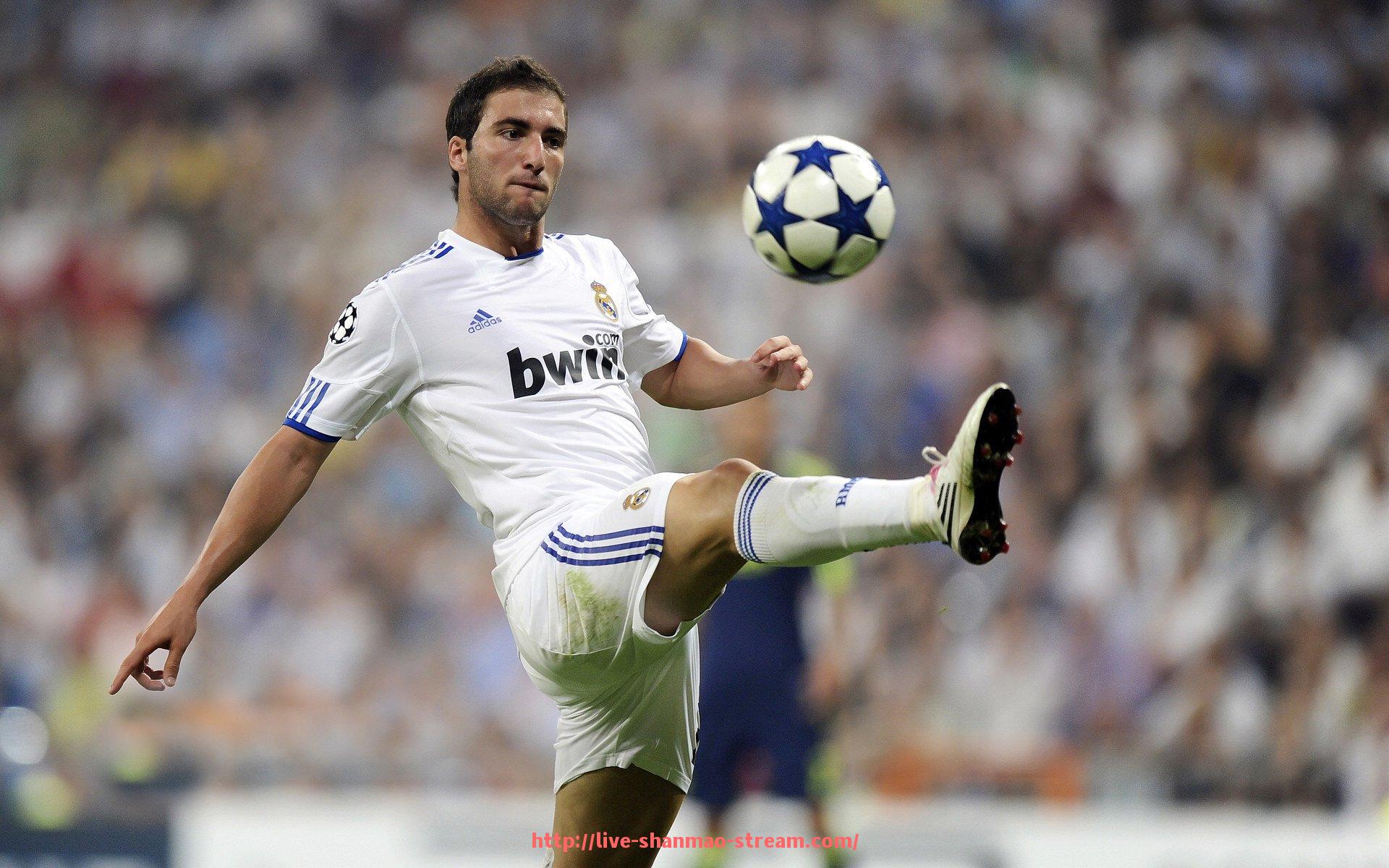 山猫直播官网-什么健身器材最管用?专家推荐最佳选择